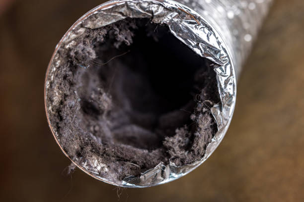 Best Air Duct Cleaning Near Me  in Temecula, CA