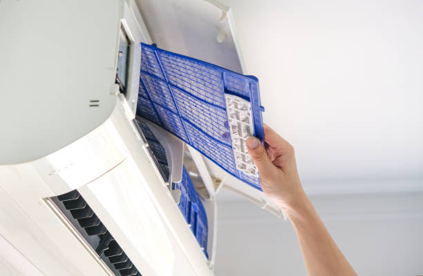 Air Duct Mold Removal in Temecula, CA